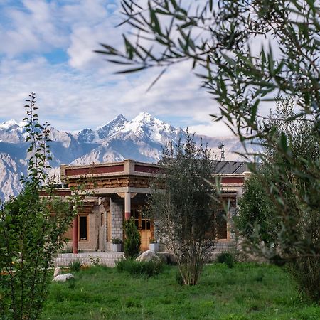 Lchang Nang Retreat-The House Of Trees-Nubra Valley Hotel Sumur Buitenkant foto