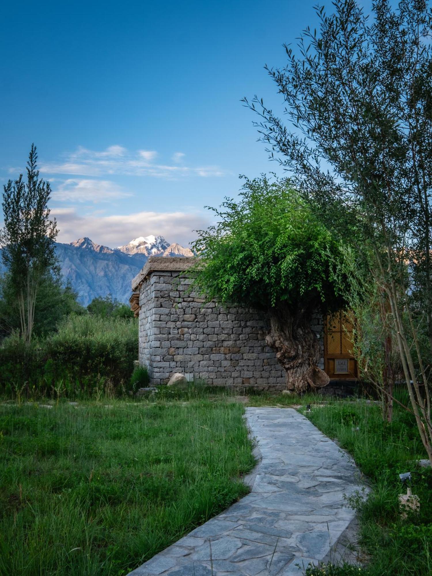 Lchang Nang Retreat-The House Of Trees-Nubra Valley Hotel Sumur Buitenkant foto